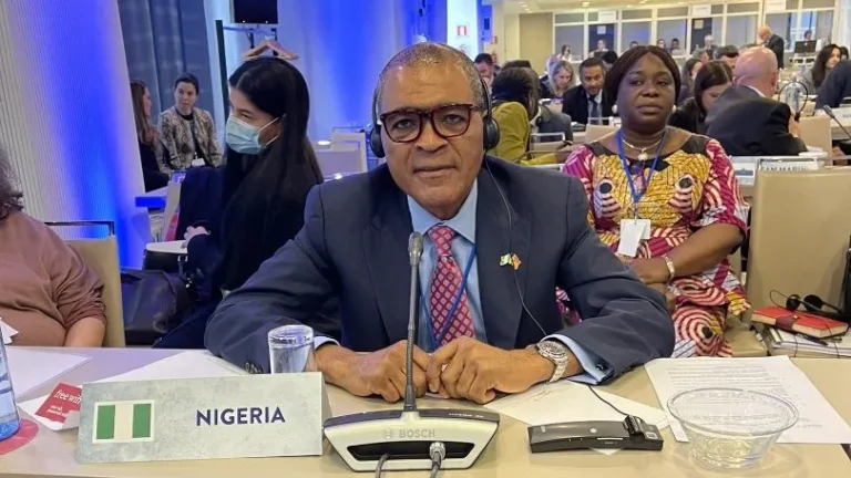 BREAKING: Demola Seriki, Nigeria’s Ambassador To Spain Dead