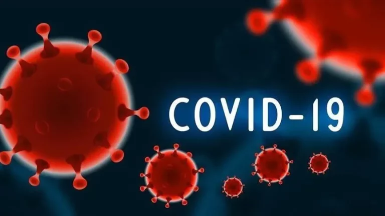 COVID-19 Active Cases In India Drop To 2,119