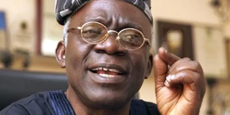 I didn’t Ask My Parents For Money As A Law Student, By Femi Falana SAN