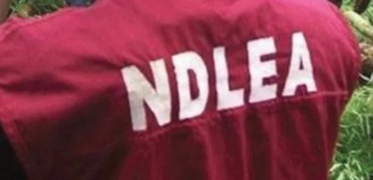JUST IN: NDLEA Confirms Shooting Of Officials In Lagos