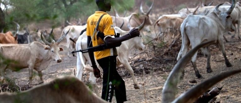 Rampaging herders kill 13 in three Benue villages