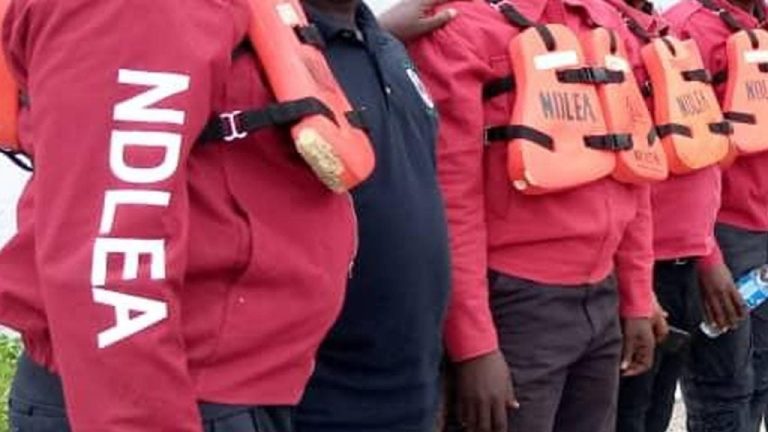 NDLEA Recovers 2.6million Opioids In Three States, Arrests Chadian, Others
