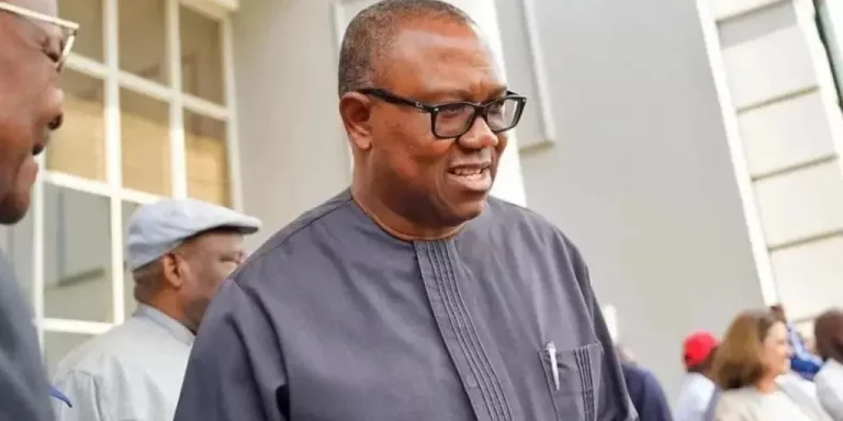 I’m Not Behind Petition Alleging Religious Leaders Misappropriated Peter Obi’s N2bn Gift; I No Longer Use Phone Number On Letter –Activist, Aigbegbele