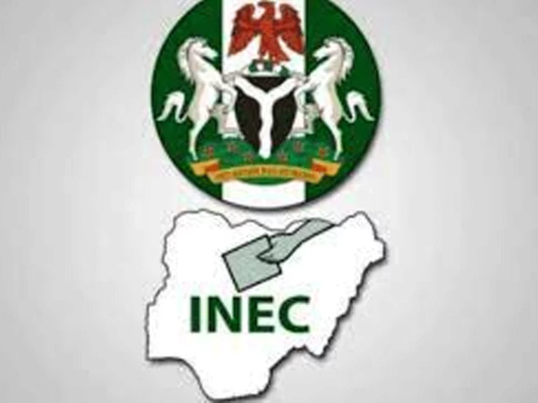 How BVAS, IReV failed first election’s stress test
