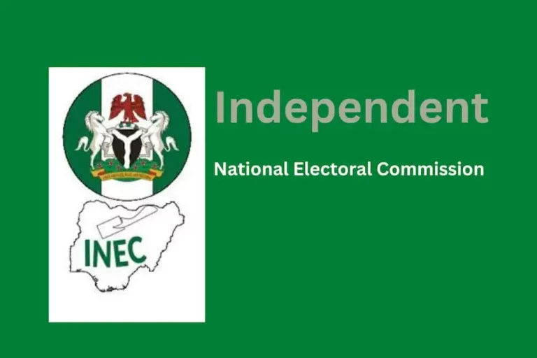 Ongoing Plot To Upturn Governorship Election Results In Abia, Enugu Will Be Resisted