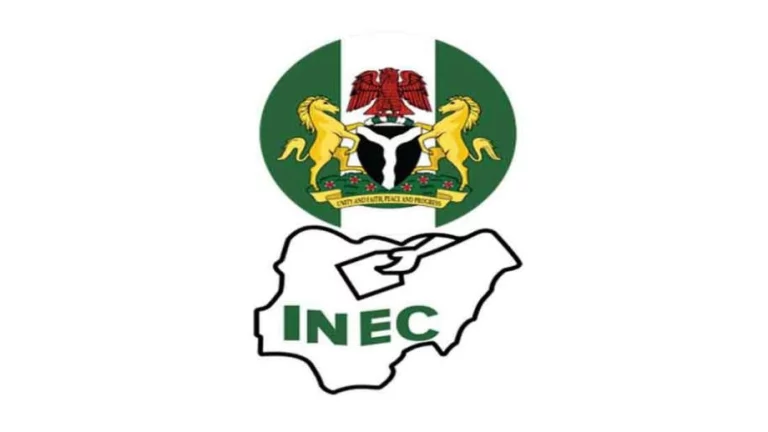 Protest As INEC Declares Imo APC Candidate Winner Of Reps Election