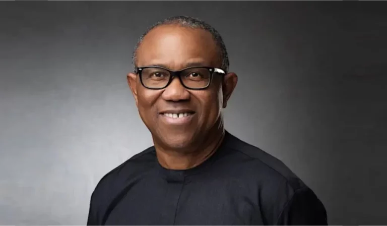 Seven takeaways from Peter Obi’s speech