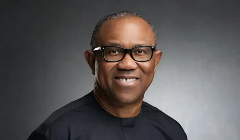 Why I’m Challenging Process That Gave Tinubu Victory – Peter Obi
