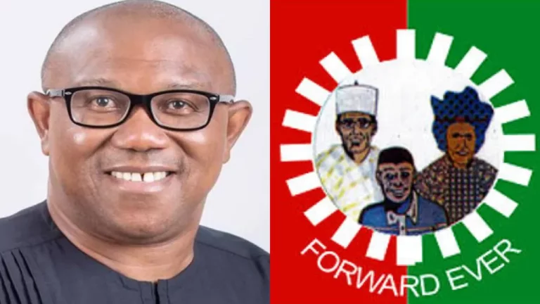 Peter Obi Reacts Over Benue Killings, Abductions In Zamfara