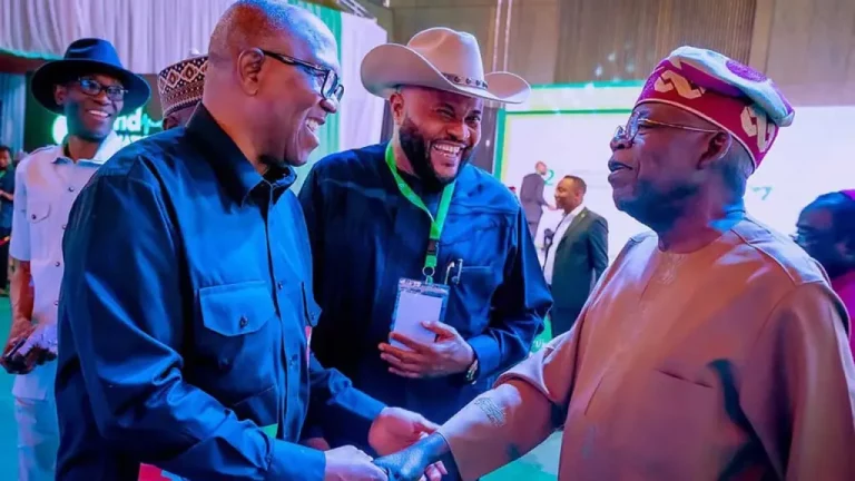 Presidential Poll: Why I Defeated You — Tinubu Replies Peter Obi