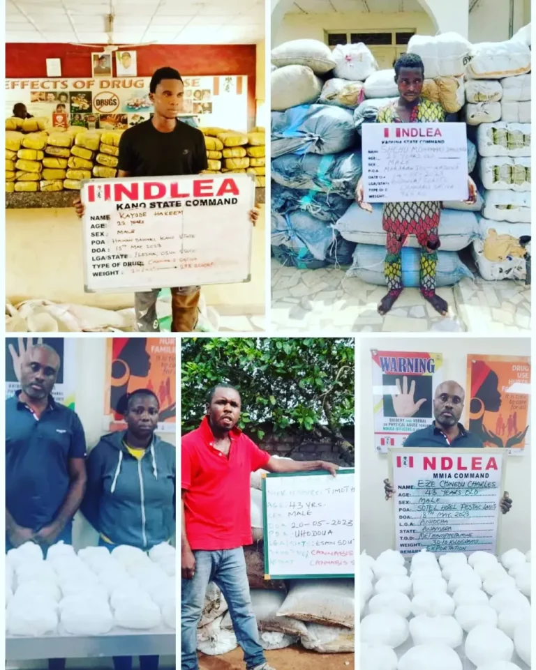 NDLEA Intercepts UK-bound Meth Worth N.5bn, Arrests Suspect