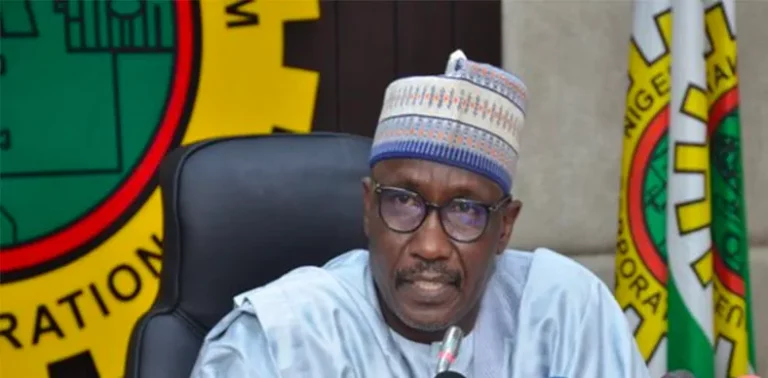 Subsidy Removal: Spending On Petrol May Jump 250% To N8tn