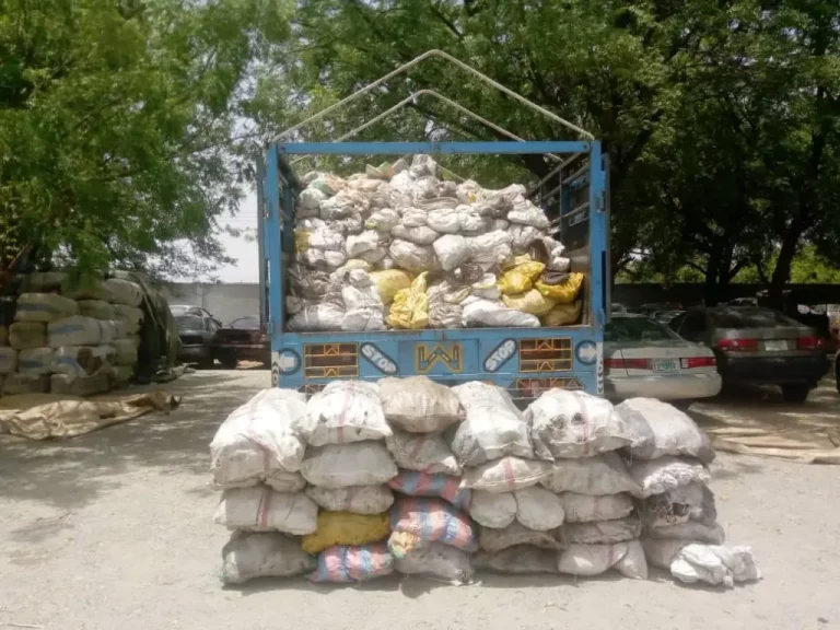 Nigerian Customs Seizes Truckload Of Donkey Meat In Kebbi