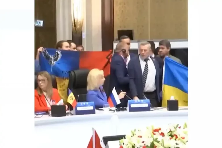 Russian & Ukrainian Politicians Fight During Summit In Turkey