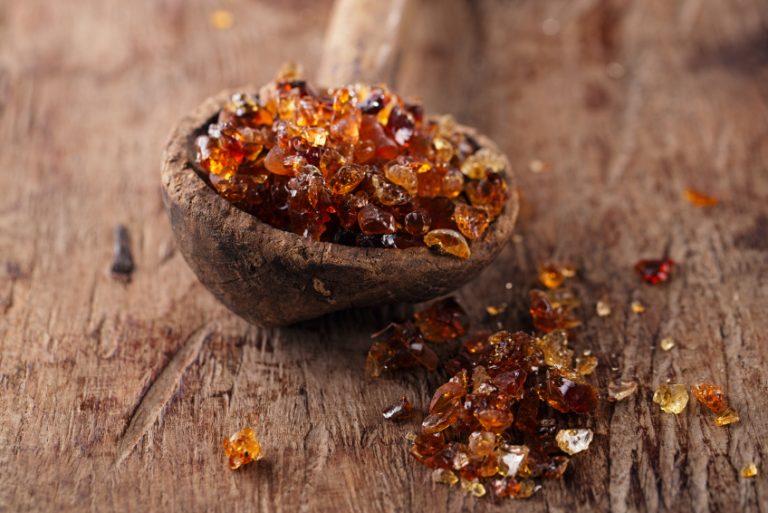 Sudan war hits gum arabic business