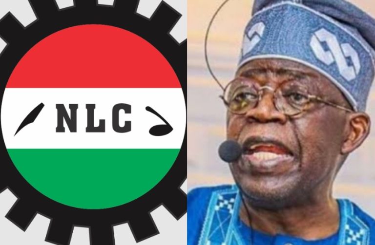 Fuel subsidy removal: Why strike must be avoided, how FG can handle labour – Institute