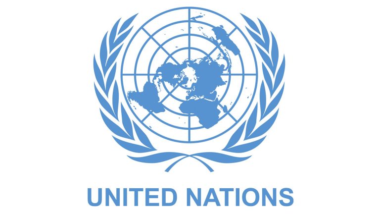 UN elects Sierra Leone, four others Security Council non-permanent members