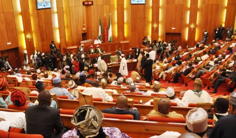 Alleged abuse Of Firearms: Senate Investigates Customs
