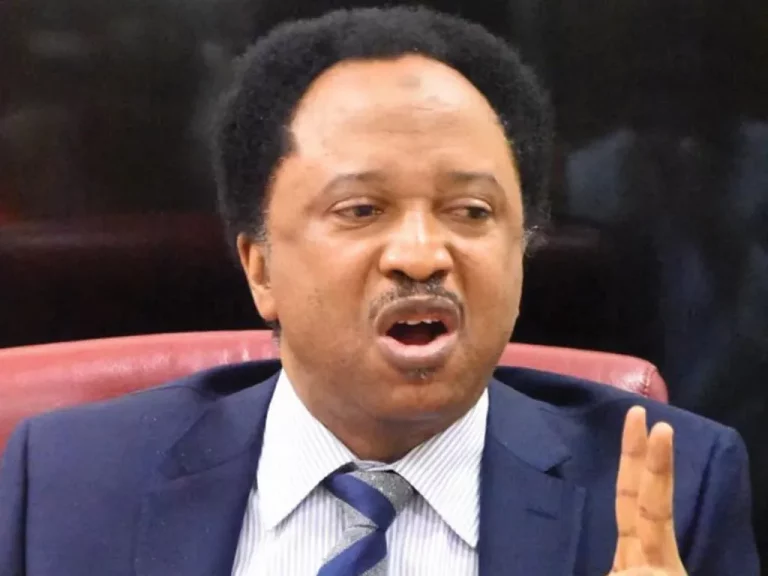 Why Buharists Now Orphans In APC – Shehu Sani