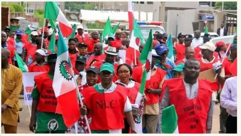 Nationwide Strike: Details Of FG Meeting With NLC, TUC Emerge
