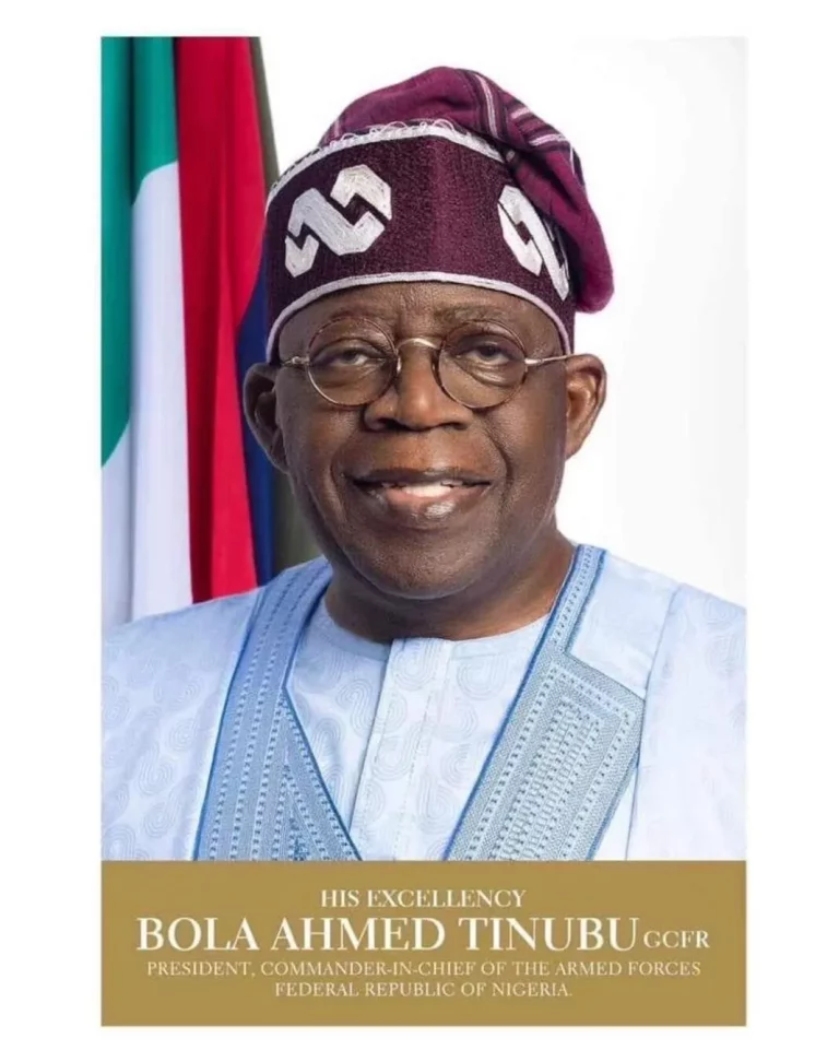 Tinubu’s Food Security Emergency and Boosting Rice Production, By Abdulsalam Mahmud
