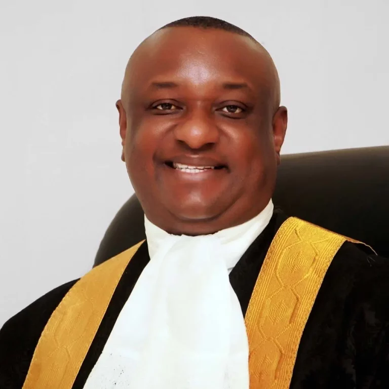 Festus Keyamo: I’m Not Afraid Of EU