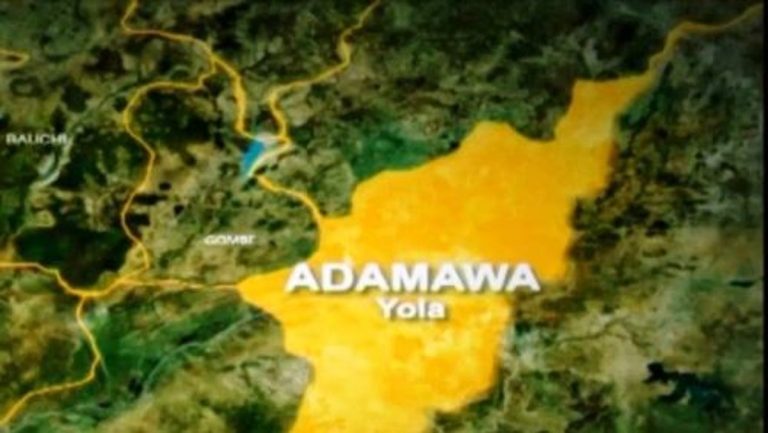 Youths stab 37-year-old to death in Yola