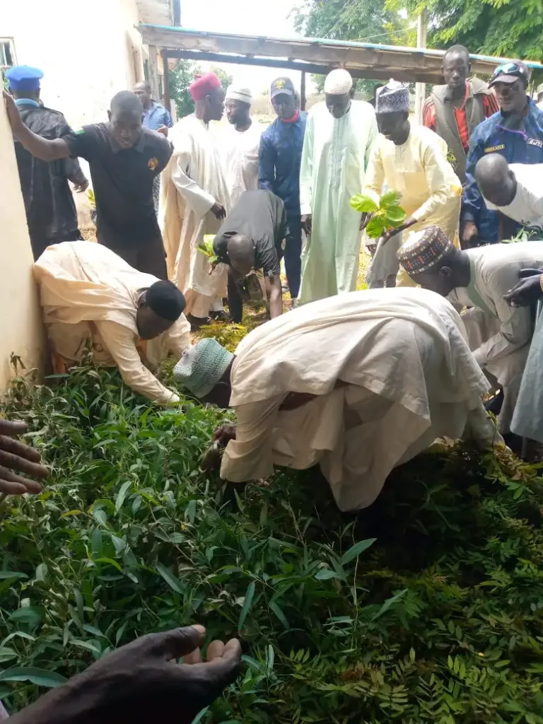 Environmental Degradation: Borno Council Chair Orders Crackdown Of Those Cutting Down Tree To Make Charcoals
