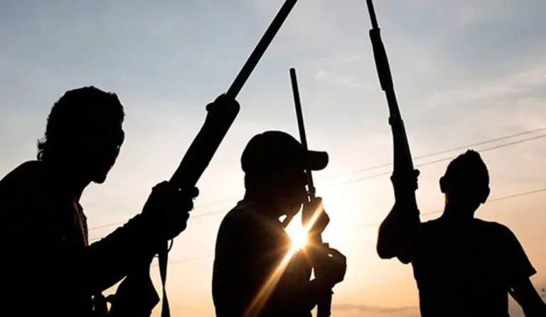 Terrorists Kill 4, Abduct 18 In Sokoto Village