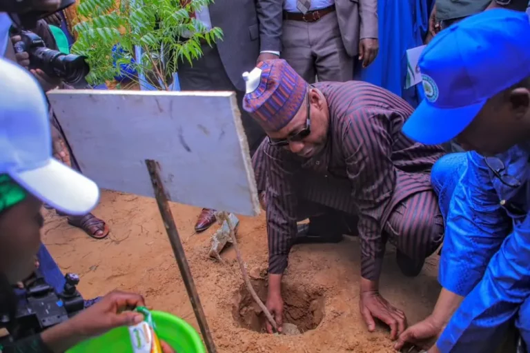 Desertification: Governor Zulum Flags Off 1.2m Trees’ Planting In Borno