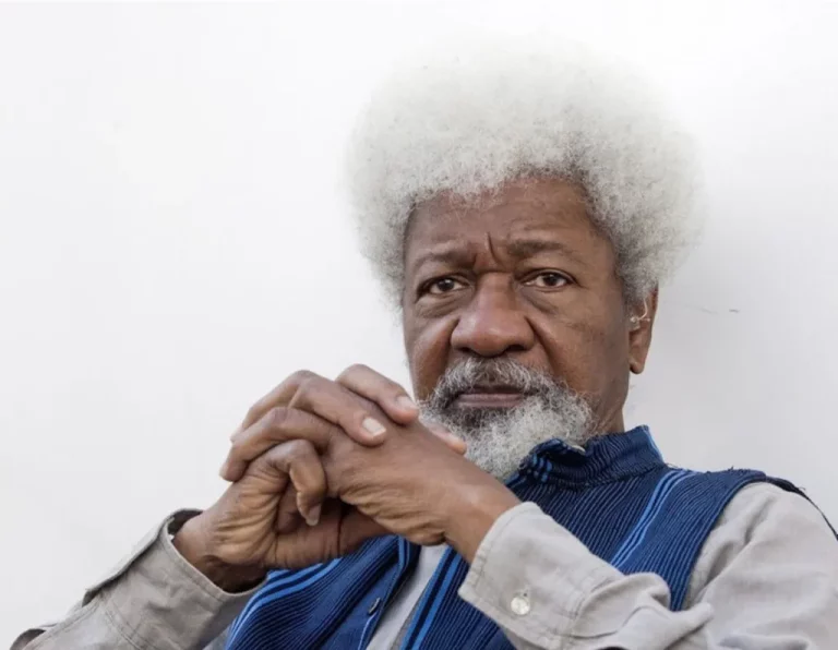 Prof. Wole Soyinka Is Now An Enemy Of Nigerian Masses”, By Williams Adesoji