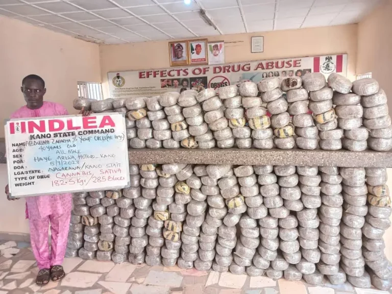 NDLEA Intercepts Meth, Skunk Consignments Concealed In Tomato Pastes, Clothes At Lagos Airport