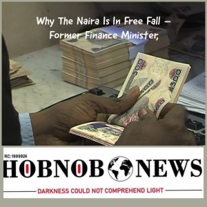 Why The Naira Is In Free Fall – Former Finance Minister, Olusegun Aganga