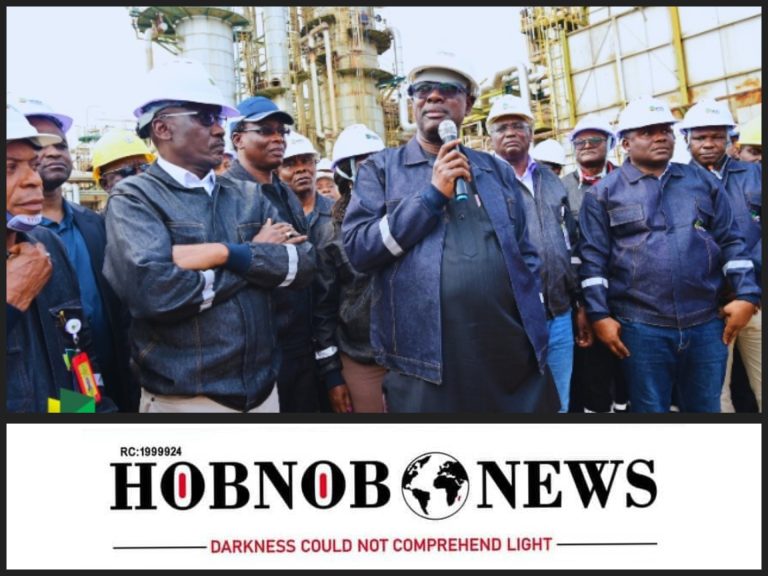 Kaduna Refinery To Be Ready By The End Of 2024 — Minister