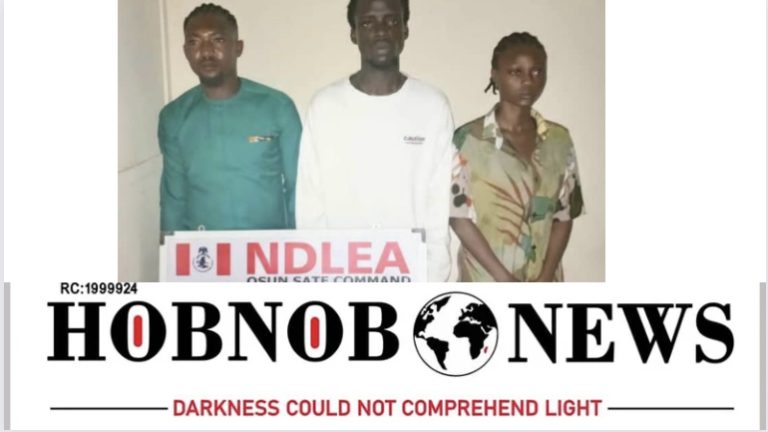 NDLEA Raids Osun Illegal Drug Party Tagged Unholy Alliance, Arrests Organisers