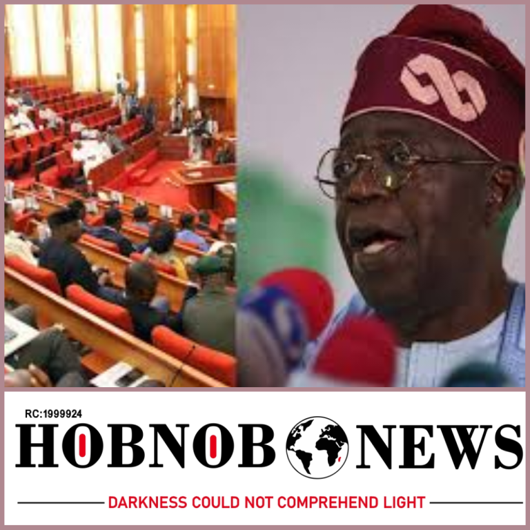 Senate Approves President Bola Tinubu’s Multi-Billion Dollar Borrowing Plan and Electoral Commissioner Nominations