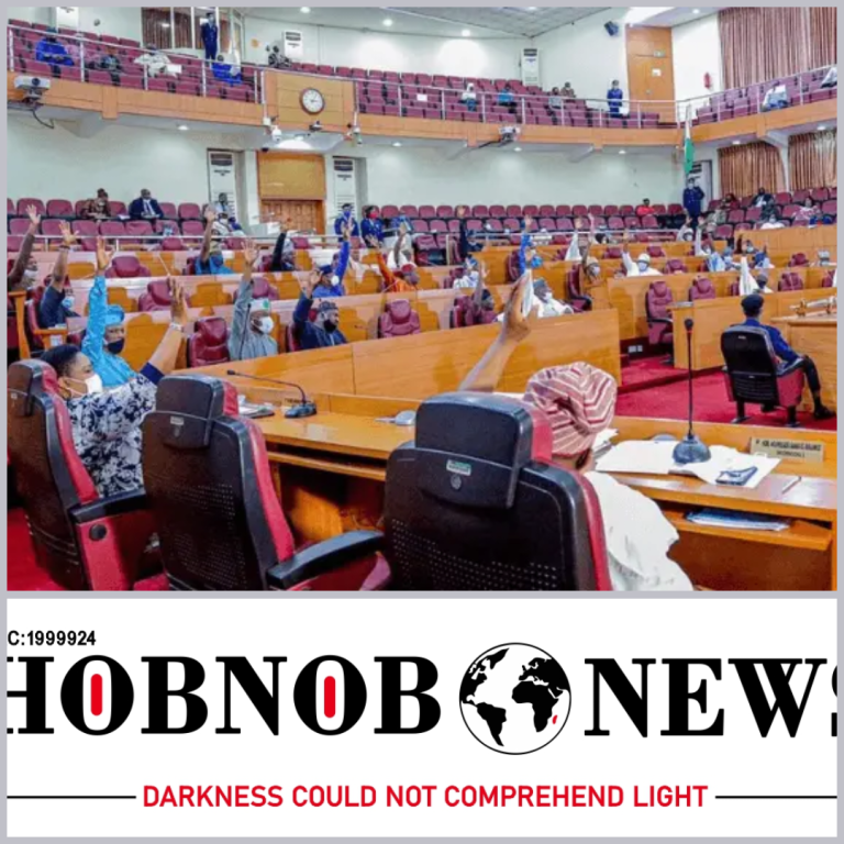 Members of Lagos State House of Assembly Urged to Prioritize Constitutional Responsibilities and Avoid Damaging Reputation
