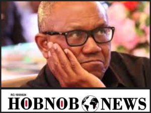 N60 Billion SUVs For Lawmakers Is Troubling -- Peter Obi