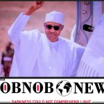 It Is Possible My Government Was Hijacked By A Cabal -- Buhari