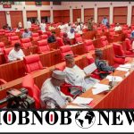 Bill To Designate Anambra As NDDC Oil-Producing State Passes First Reading At Senate