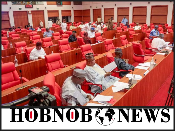 Bill To Designate Anambra As NDDC Oil-Producing State Passes First Reading At Senate