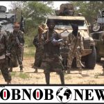11 Loggers Beheaded By Boko Haram Terrorists In Borno