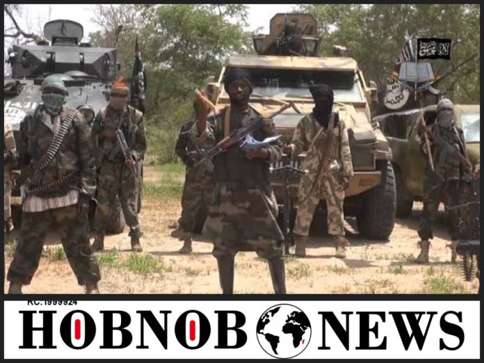 11 Loggers Beheaded By Boko Haram Terrorists In Borno