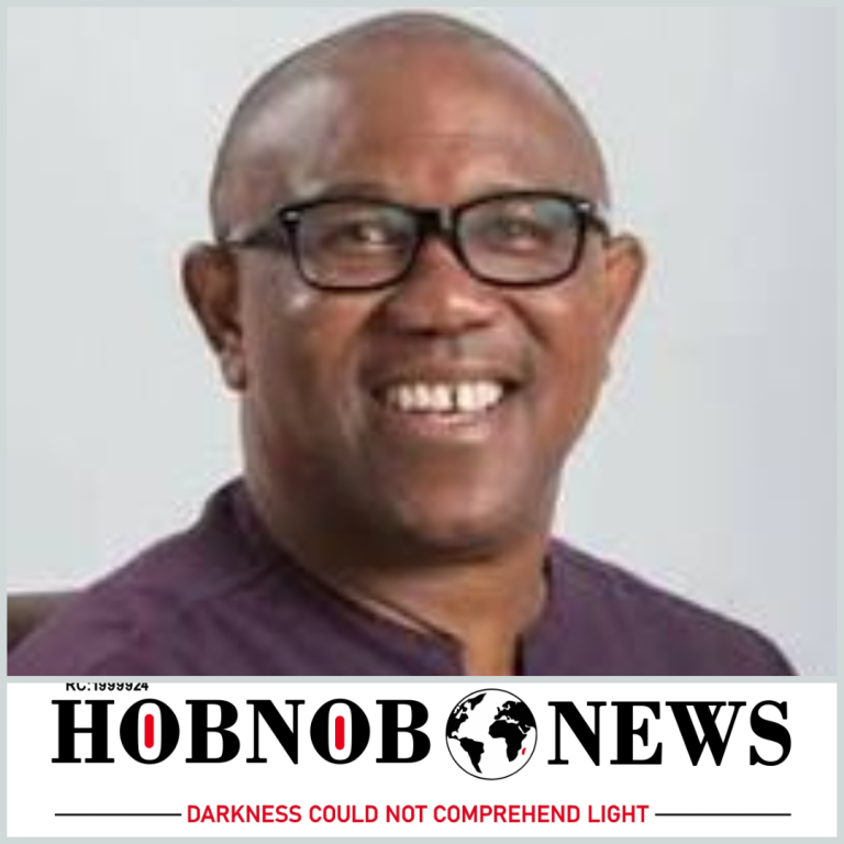 Former Governor of Anambra State, Peter Obi, Criticizes Nigeria’s Overwhelming Delegation to UN Climate Summit
