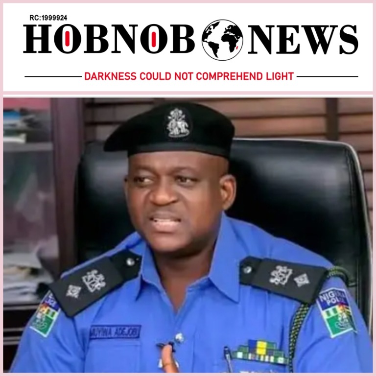 Nigeria Police Force Declares Nigerians Free to Video and Photograph Officers on Duty