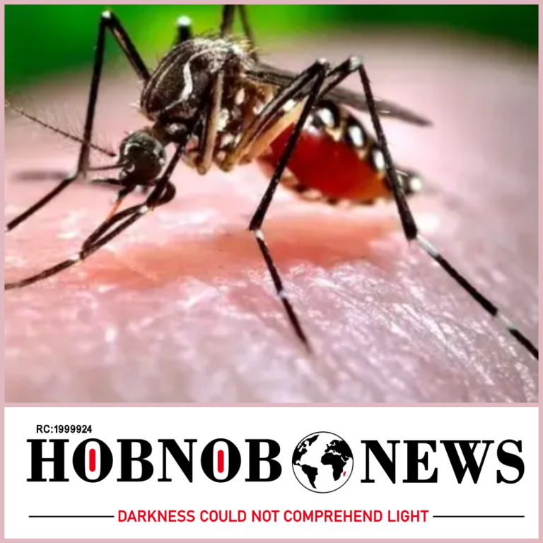 NCDC Discloses 13 Cases of Dengue Fever in Sokoto State Prompting Concerns over Low Awareness Levels