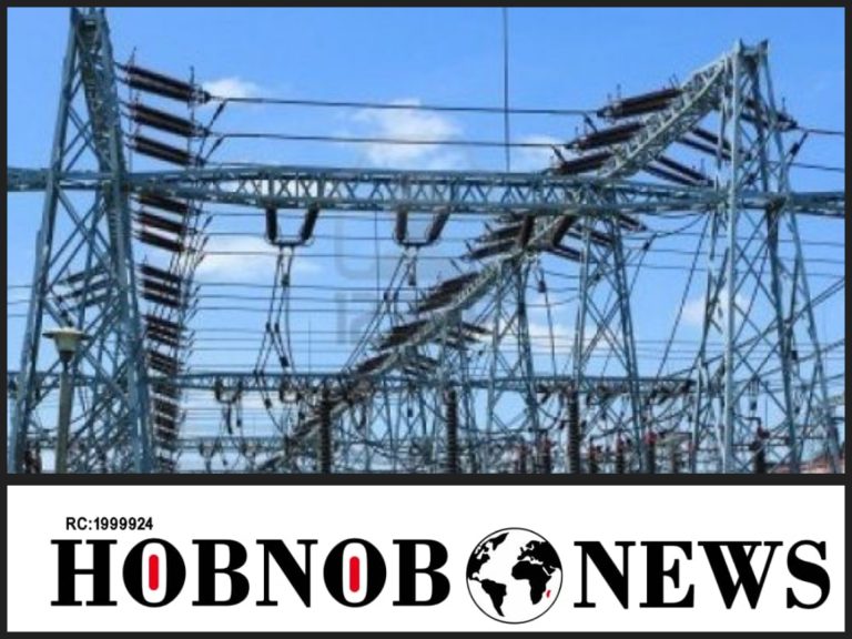 ₦‎600Billion Spent On Electricity Subsidy In 2023