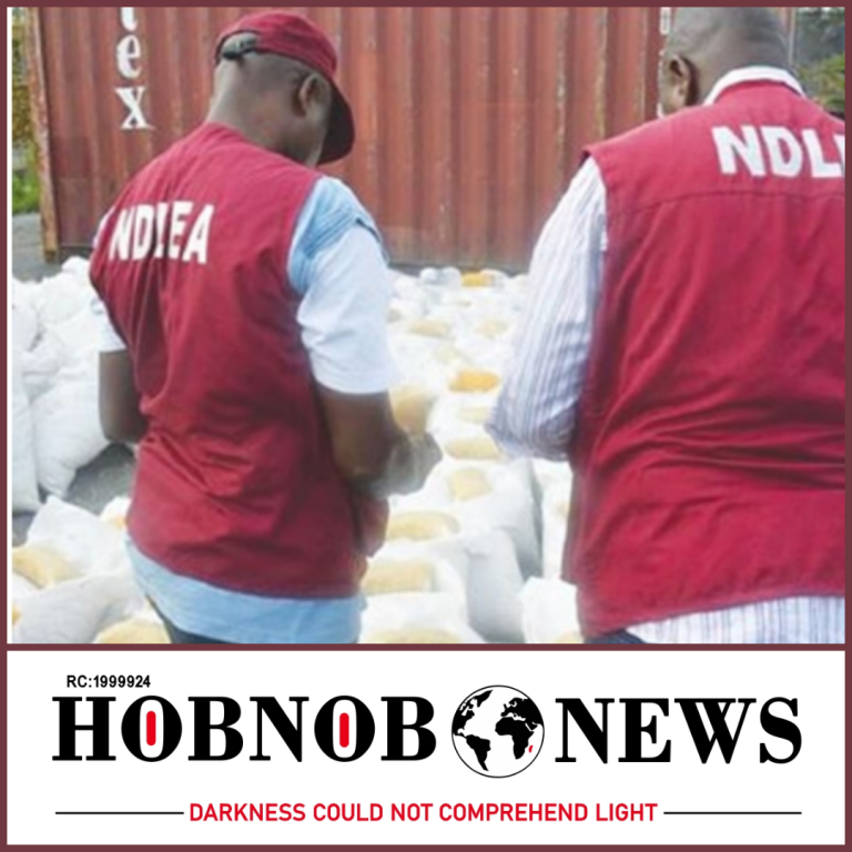Drug Supply Reduction Efforts Yield Success, 9.5 Hectares of Cannabis Farms Destroyed