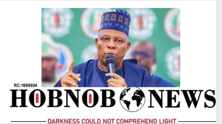 We’ll Protect Nigerians’ Rights Regardless Of Religious, Ethnic Sentiments – Shettima