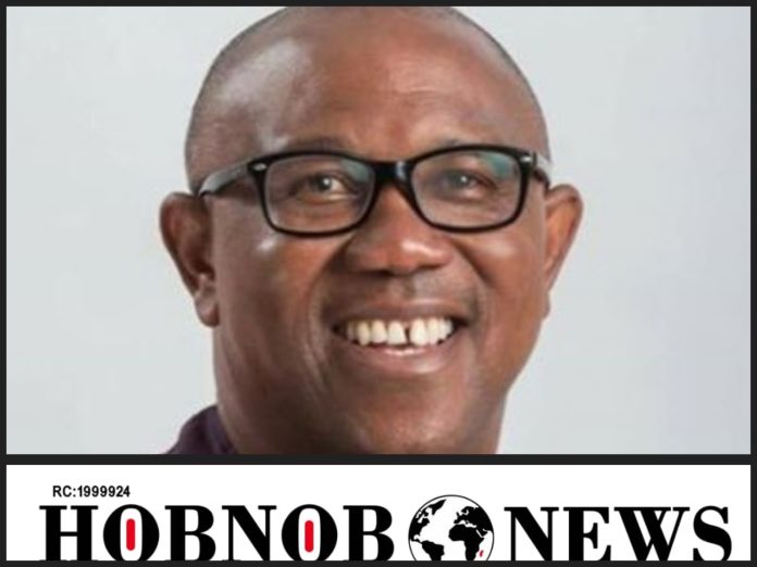 Full Text Of Peter Obi's New Year Message